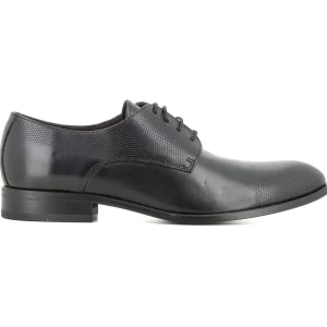 Blucher Negro