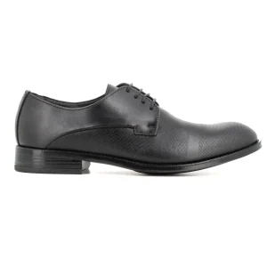 Blucher Negro