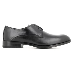 Blucher Negro