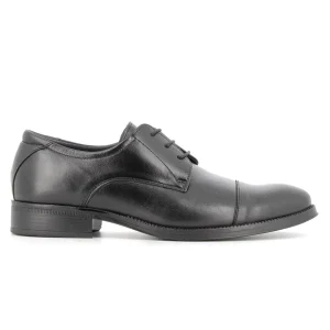 Blucher Negro