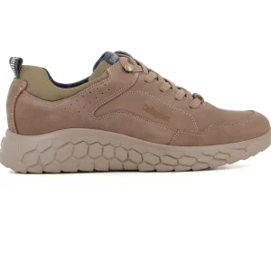 Blucher Trufa
