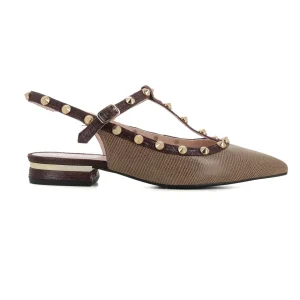 Zapato Taupe/marron