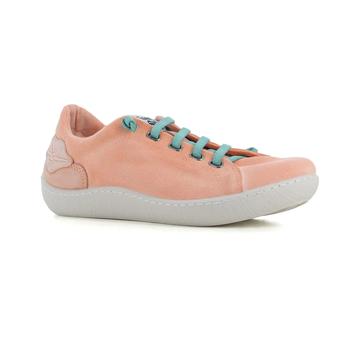 basket_coral_1.webp Basket Coral