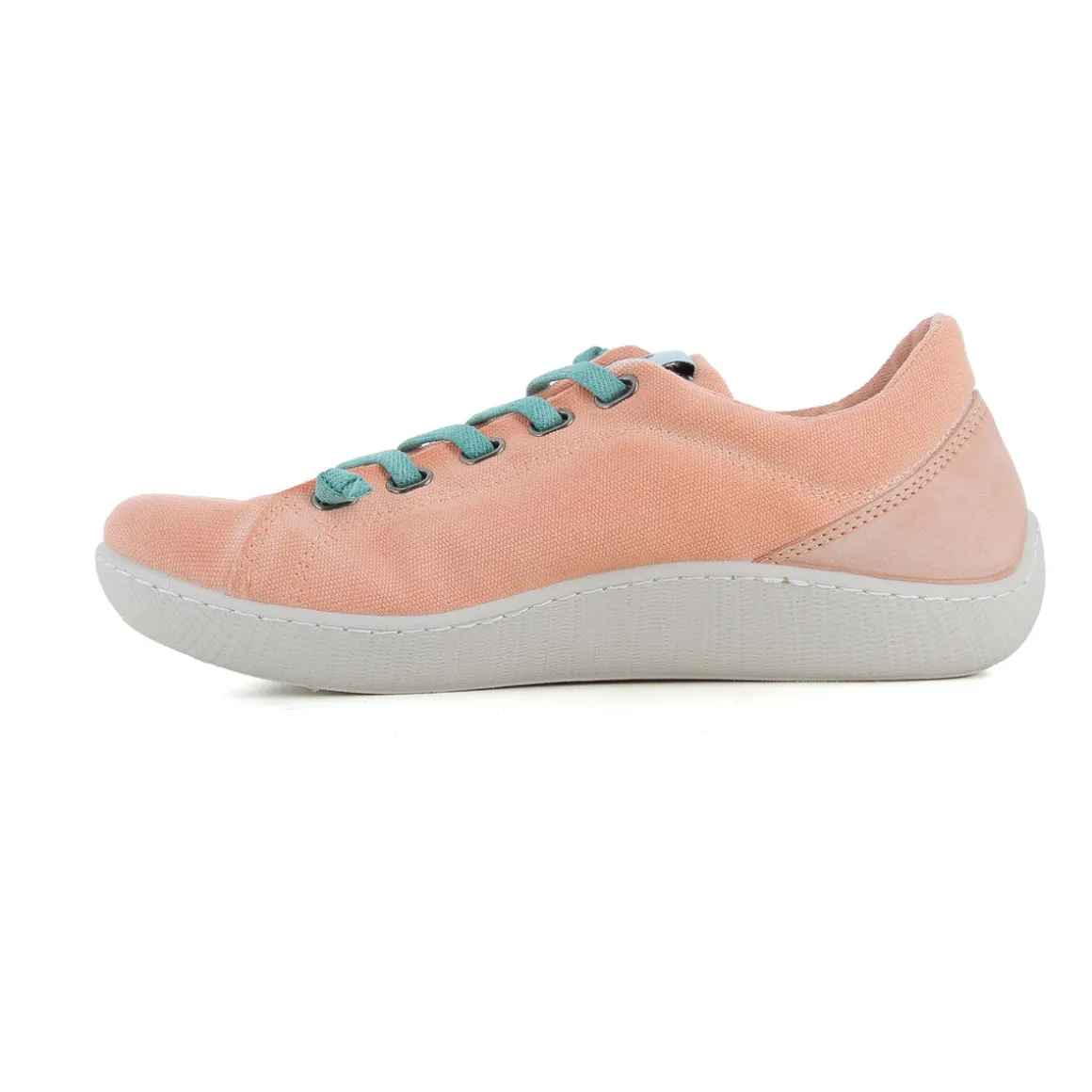basket_coral_2.webp Basket Coral