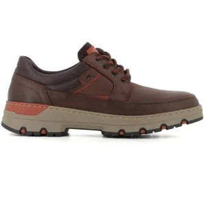 Blucher CastaÑo