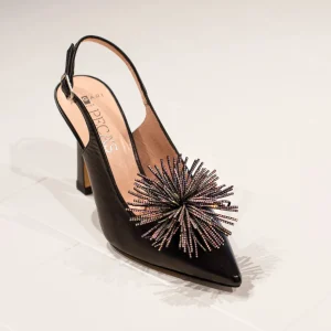 Pompon Negro