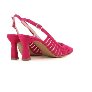 Salon Destalonado Flamingo